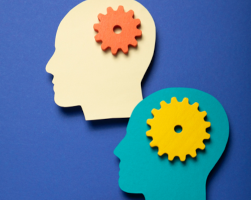 Reproduction de Schémas